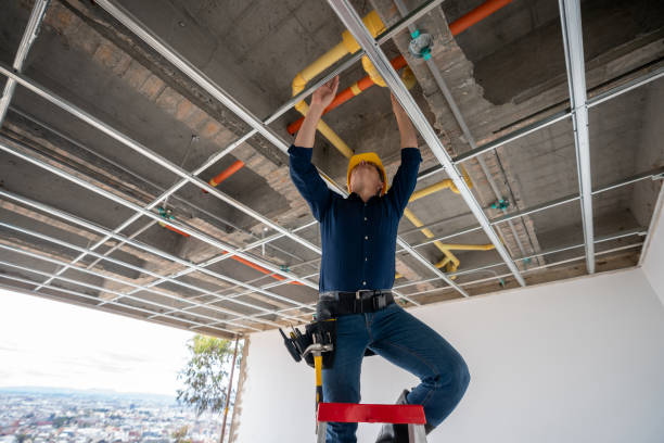 Best Plumbing Inspection Services  in Walnut Hill, TN